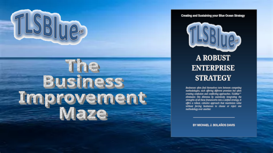 TheBusinessImprovementMaze